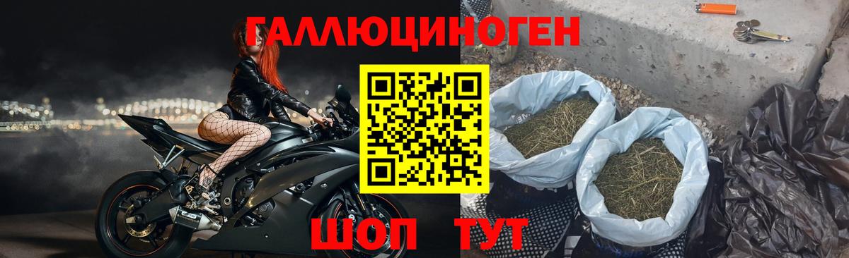 Псилоцибиновые грибы Cubensis  Вход с VPN  Светлоград  Галлюциногенные грибы мухоморы 